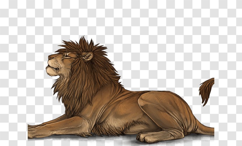 Lion Roar Mane Big Cat Male - Affection Transparent PNG