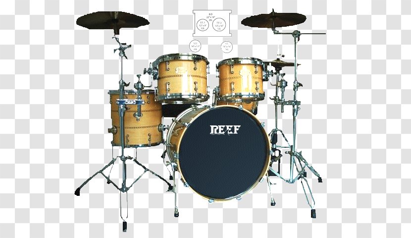 Bass Drums Timbales Tom-Toms Snare - Watercolor Transparent PNG