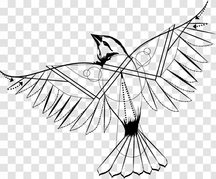 Bird Geometry Drawing Geometric Mean - Wing Transparent PNG