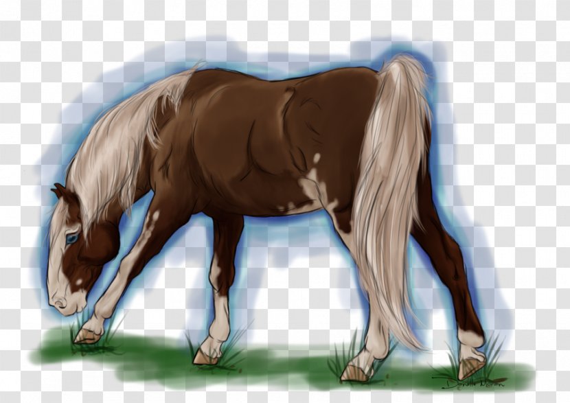 Foal Stallion Mare Mustang Pony - Horse Tack - Splash Ring Transparent PNG
