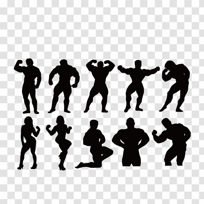 Bodybuilding Fitness Centre Silhouette Muscle - Vector Characters Transparent PNG
