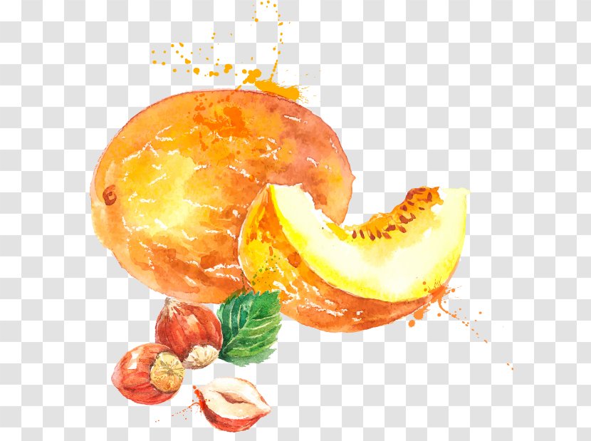 Melon Watercolor Painting Cantaloupe - Diet Food Transparent PNG