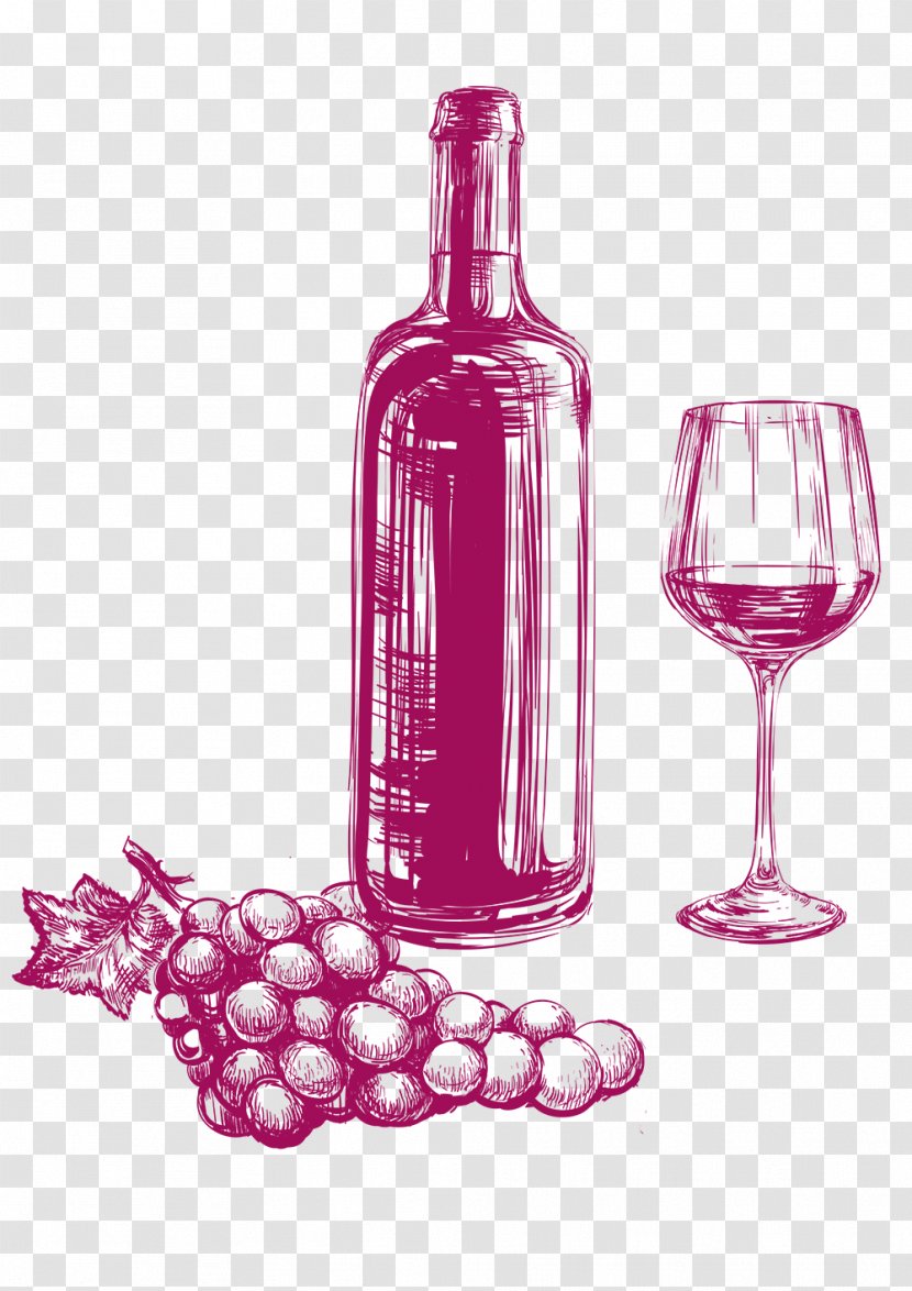 Wine Drawing Beer Grape - Tableware Transparent PNG