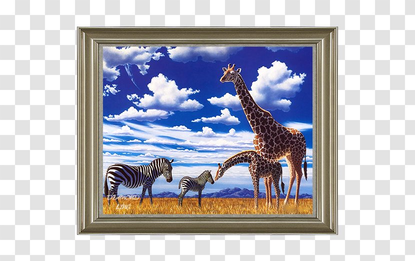 Animal Northern Giraffe Painting Zebra Safari - Elephantidae Transparent PNG