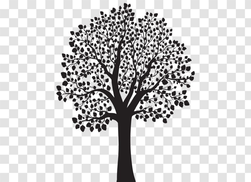 Tree Royalty-free Drawing Clip Art - Royaltyfree Transparent PNG