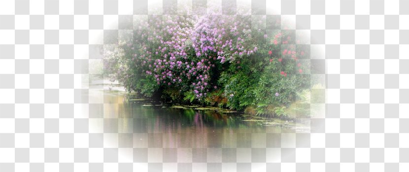 Landscape Painting LOFTER Blog LiveInternet - Purple - Lilac Transparent PNG