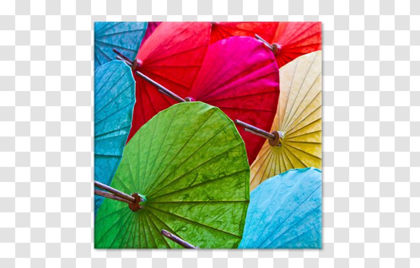 Chiang Mai Flower Festival Umbrella Royalty-free Stock Photography - Thailand Transparent PNG