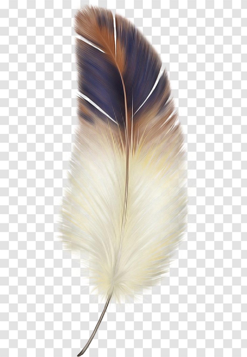 Feather - Tail Beige Transparent PNG
