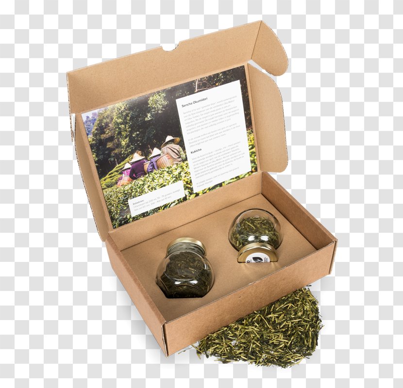 Flowering Tea Kukicha Plant Genmaicha - Herbal Transparent PNG