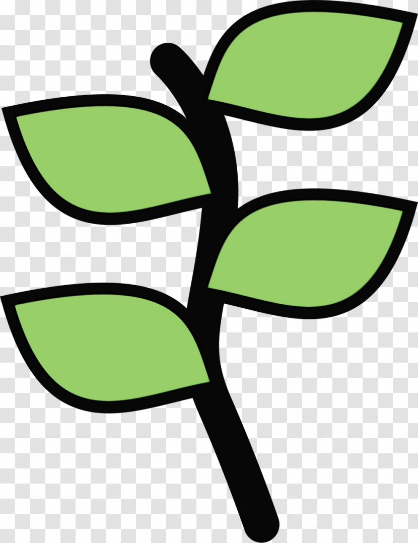 Green Leaf Watercolor - Paint - Plant Botany Transparent PNG