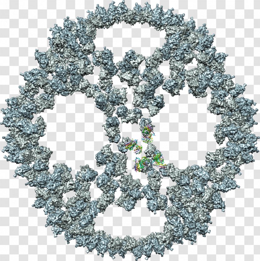 Tree Body Jewellery Human - Tobacco Mosaic Virus Transparent PNG