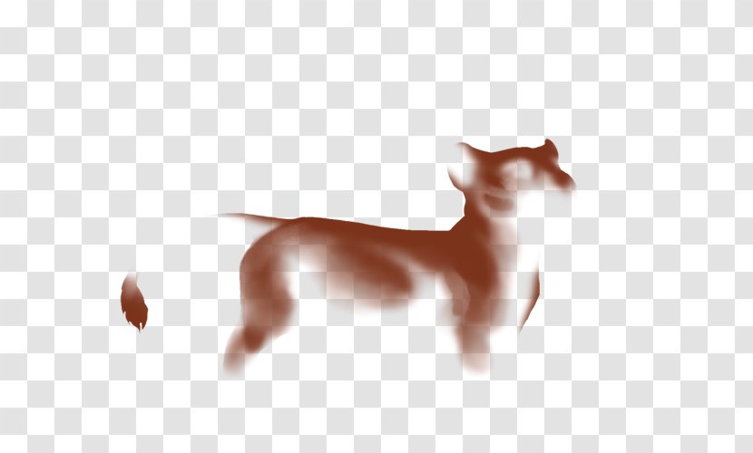 Dog Breed Italian Greyhound Ibizan Hound Puppy - Ibiza Transparent PNG
