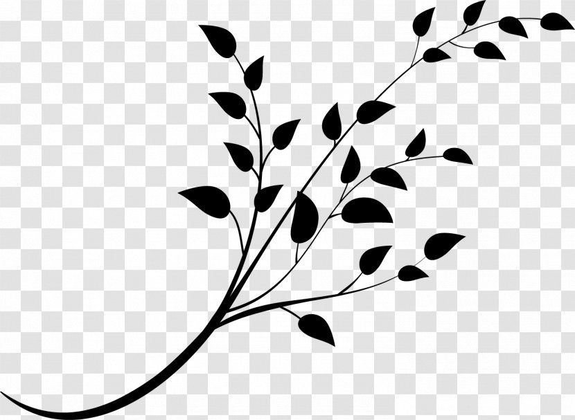 Leaf Pattern Plant Stem Flower Desktop Wallpaper - Pedicel Transparent PNG