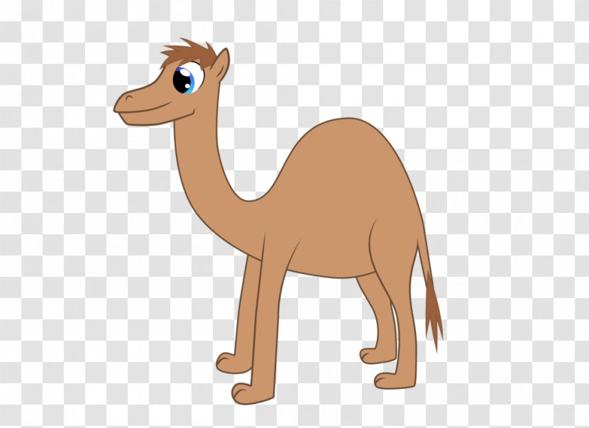 Dromedary Horse Camel Wildlife Clip Art - Animal Transparent PNG