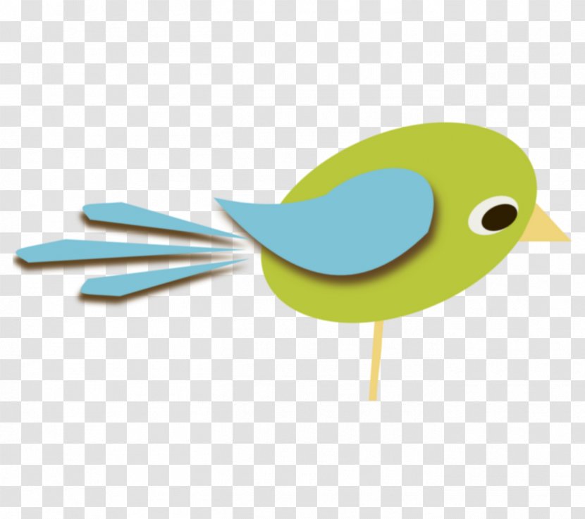 Bird Logo - Parakeet - Songbird Transparent PNG
