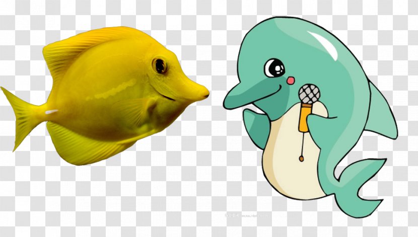 Duck Fish Marine Biology Clip Art - Pictures Transparent PNG