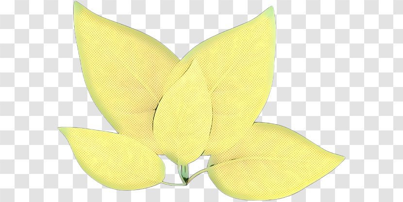 M. Butterfly Fruit - Anthurium - Magnolia Transparent PNG