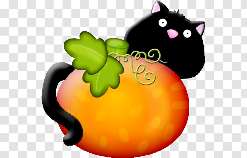 Whiskers Pumpkin Calabaza Cat Snout - Cucurbita Transparent PNG