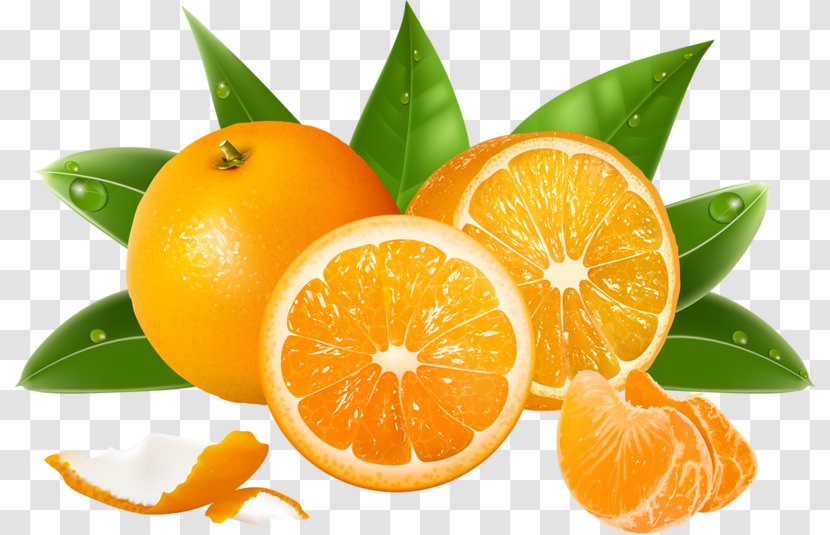 Juice Malta Orange Fruit Hindi - Vegetarian Food - Oranges Pattern Transparent PNG