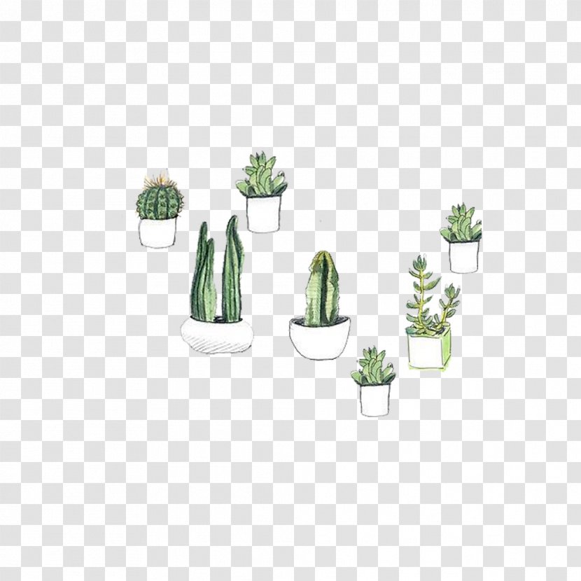 Cactaceae Watercolor Painting Succulent Plant Drawing Prickly Pear - Hand Drawn Cactus And Other Plants Transparent PNG