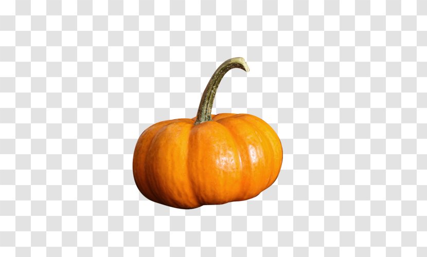 Pumpkin Calabaza Gourd Vegetable Transparent PNG