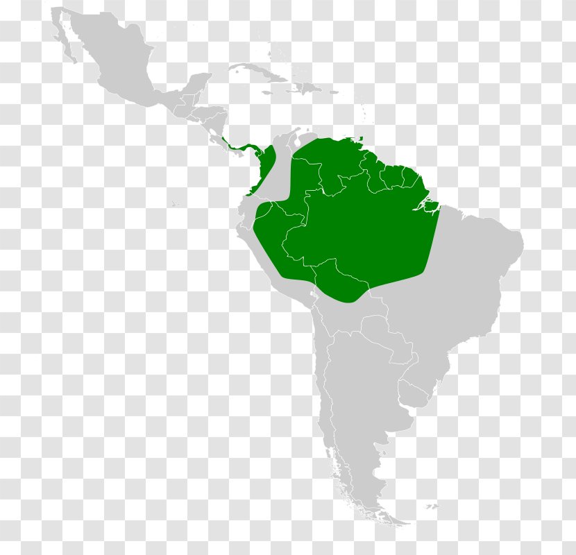 South America Latin United States Of Subregion Map - Green Transparent PNG