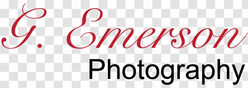 Photography Business Head Shot The Grisso Mansion Marketing - Garden Transparent PNG