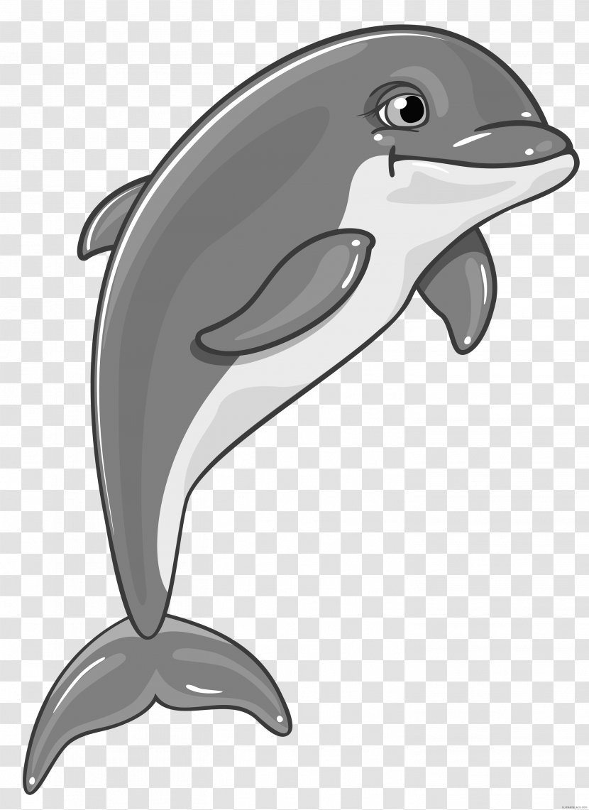 Common Bottlenose Dolphin Spinner Clip Art Transparent PNG