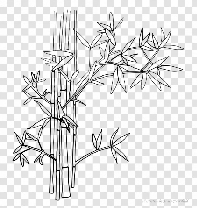 Line Art Drawing Digital Clip - Bamboo Painting Transparent PNG