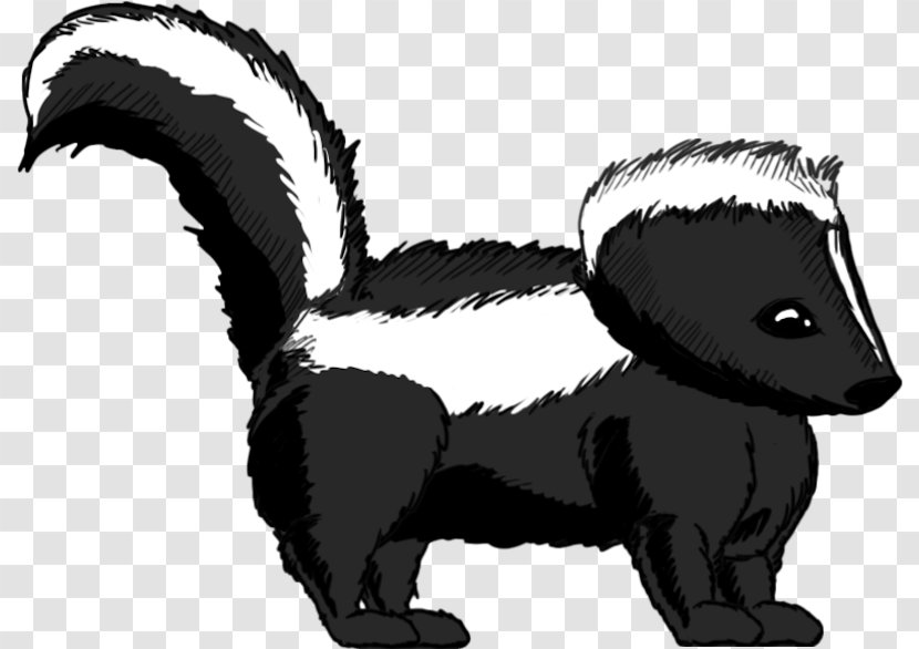 Striped Skunk Whiskers Badger - Spotted Transparent PNG