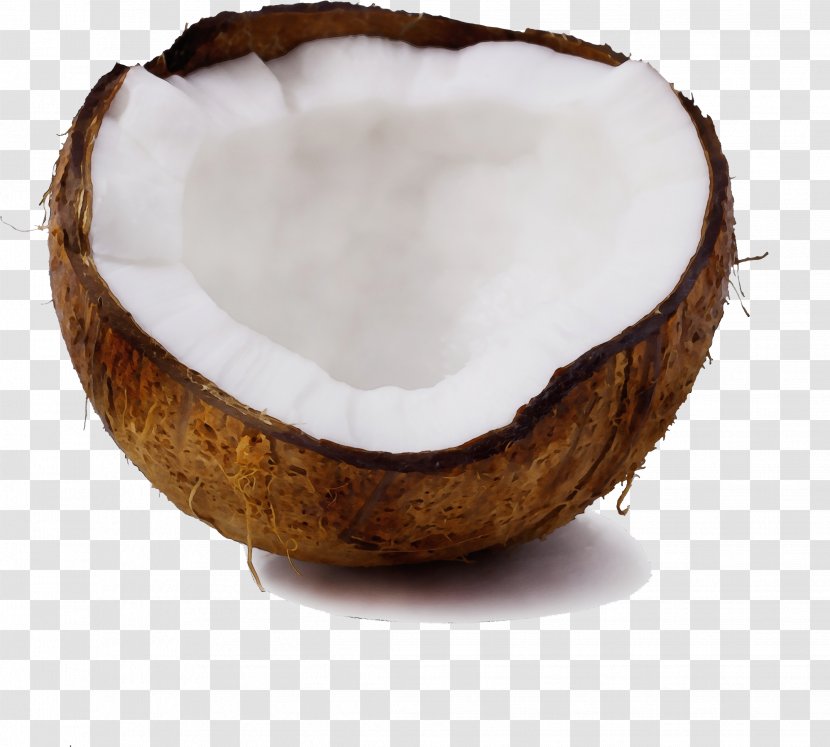 Palm Trees - Coconut Water - Cream Transparent PNG