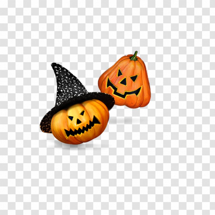Pumpkin Pictures - Seed Transparent PNG