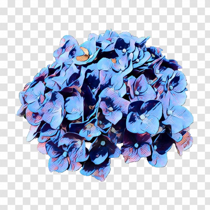 Blue Iris Flower - Morning Glory Transparent PNG