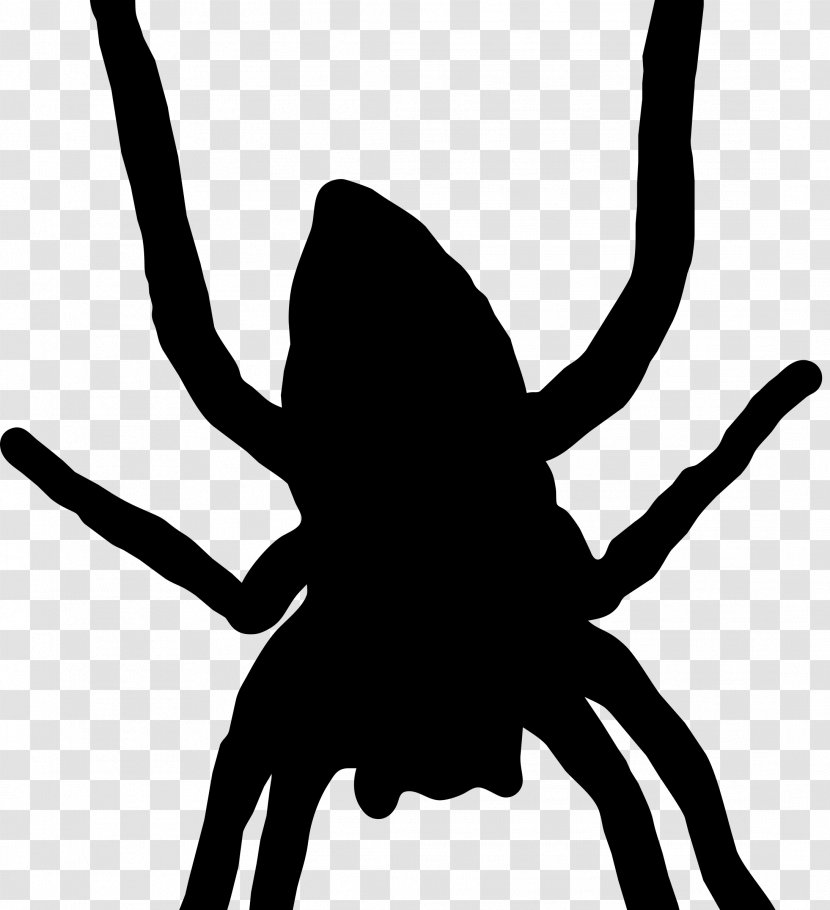 Spider Web Silhouette Arthropod Clip Art - Joint Transparent PNG