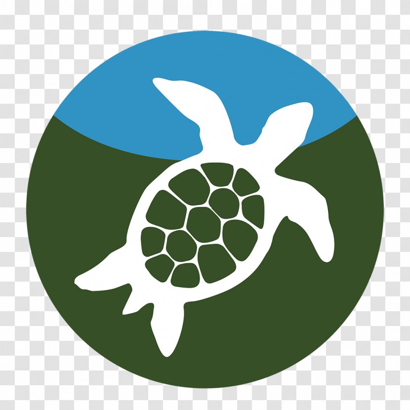 ERAC - Leaf - Educational Resource Acquisition Consortium Indigenous Peoples In Canada Sea Turtle Learning InformationOthers Transparent PNG