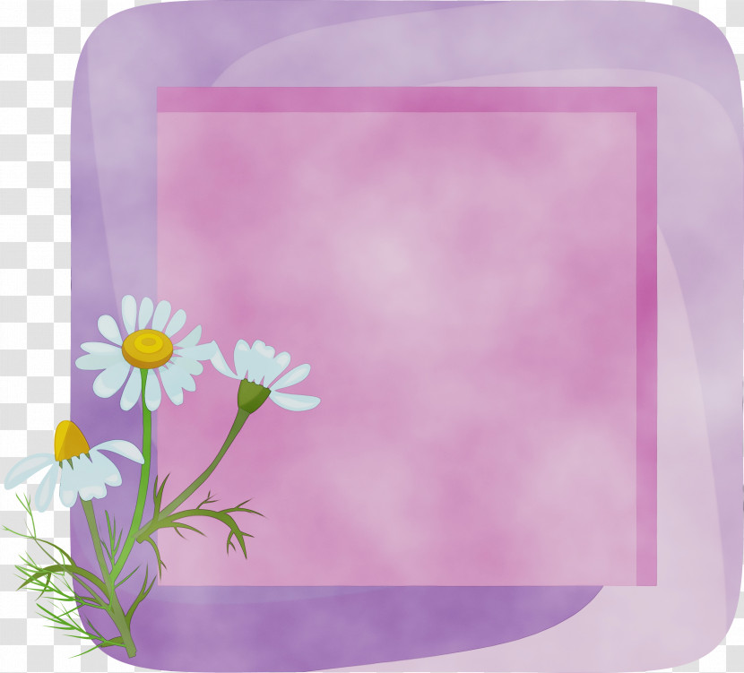 Picture Frame Transparent PNG