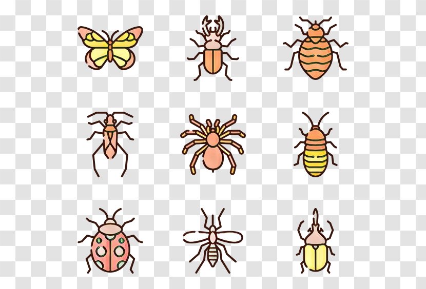 Insect Clip Art Pest Membrane-winged Honeybee - Cartoon - Membranewinged Transparent PNG