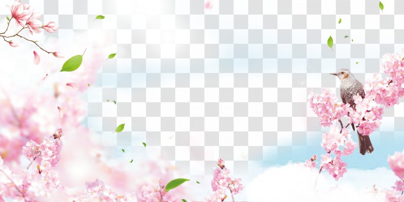 Poster Spring Download - Pink - Peach Blossom Background Material Transparent PNG