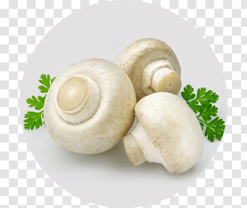 Common Mushroom Edible Nagpur Casserole - Champignon Transparent PNG