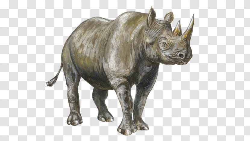 Rhinoceros Mammal Les Rhinocéros - Wildlife - Sculpture Transparent PNG