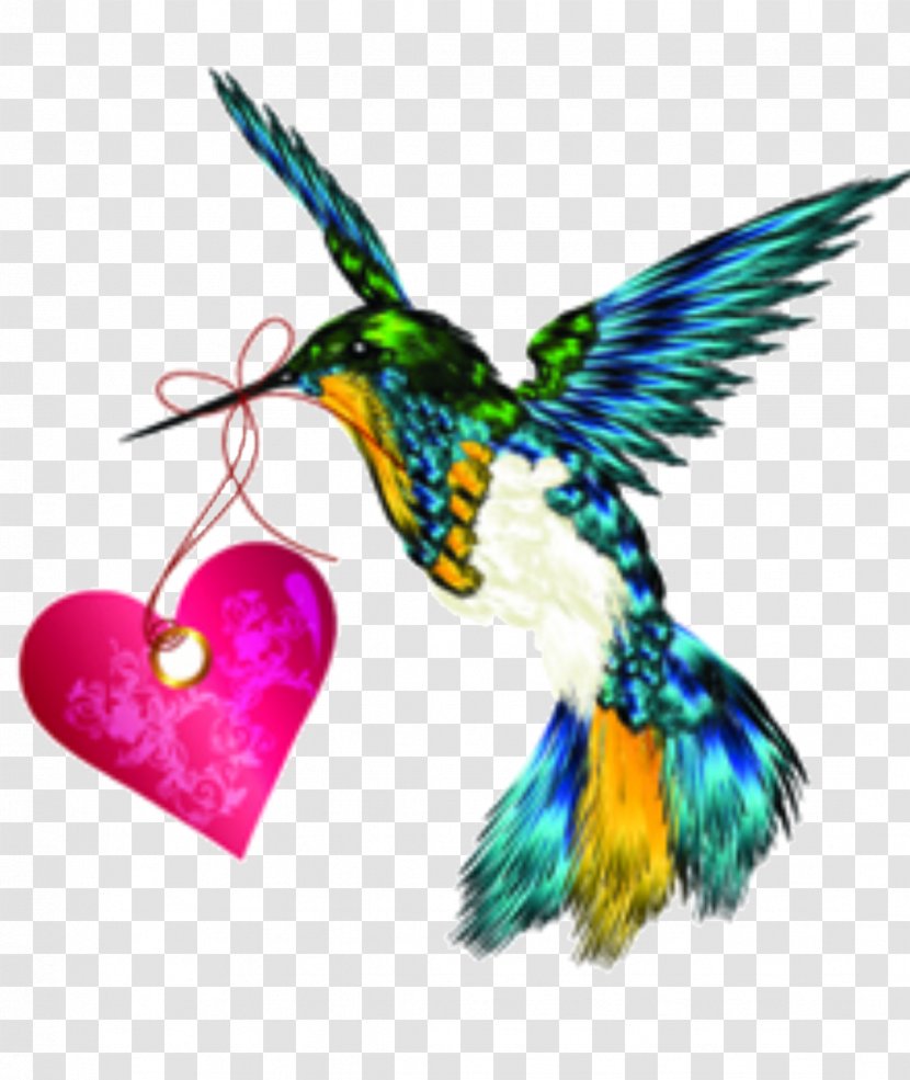 Beautiful Heart - Drawing - Beak Transparent PNG