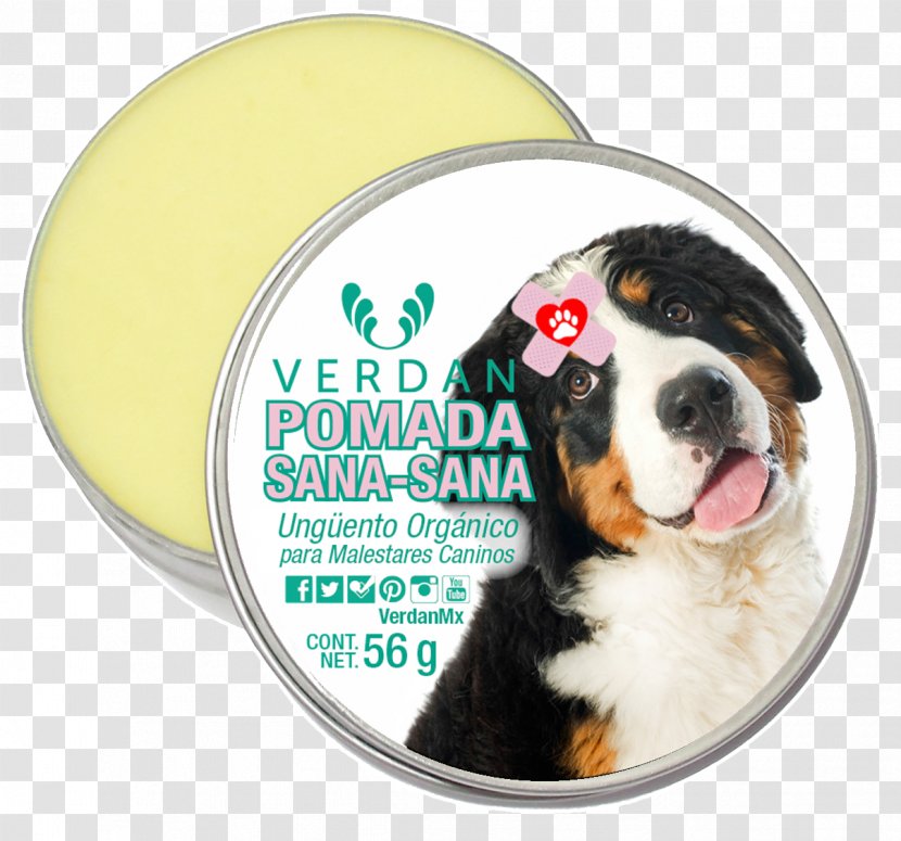 Bernese Mountain Dog Greater Swiss Entlebucher Puppy Mouthwash - Salve Transparent PNG