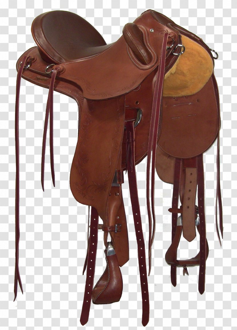 Horse Western Saddle Rein Bridle - Pack Animal Transparent PNG
