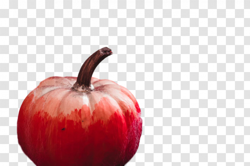 Apple Fruit Apple Transparent PNG