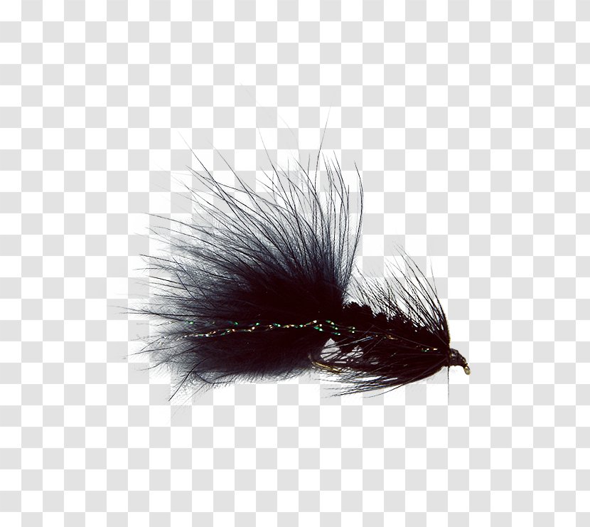 Artificial Fly Woolly Bugger Muddler Minnow Insect Holly Flies Transparent PNG