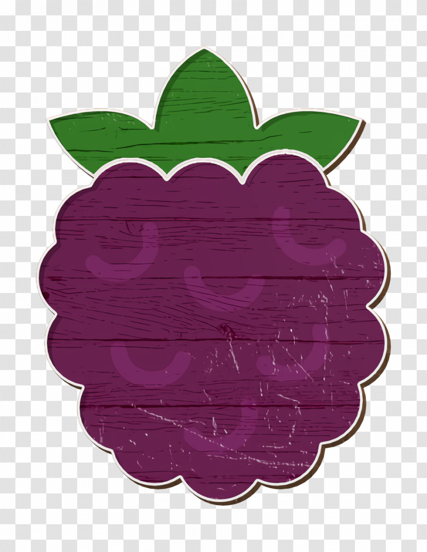 Raspberry Icon Fruit Icon Gastronomy Set Icon Transparent PNG