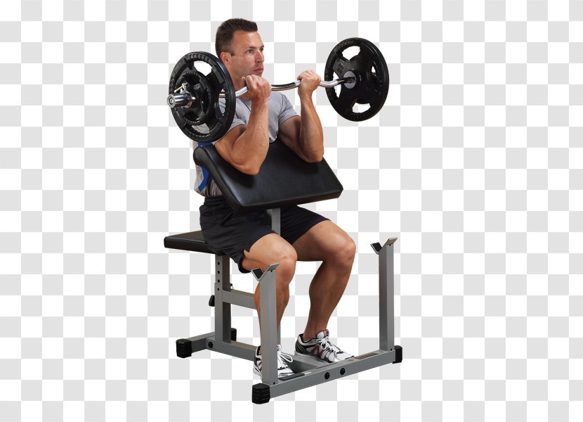 Body Solid Preacher Curl Bench Biceps Weight Training Exercise - Watercolor - Curls Transparent PNG