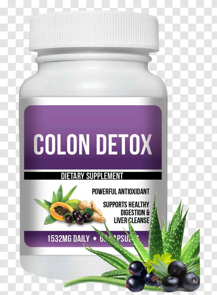 Dietary Supplement Garcinia Cambogia Detoxification Colon Cleansing Health - Adipose Tissue Transparent PNG