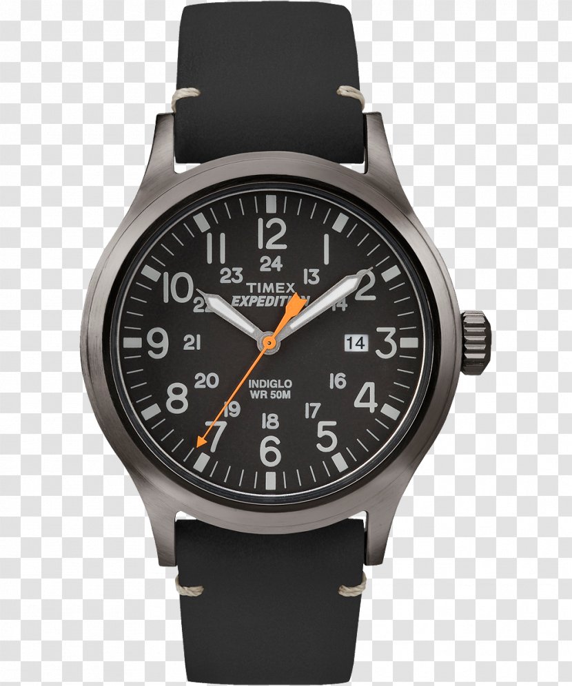 Watch Timex Men's Expedition Scout Group USA, Inc. Indiglo Field Chronograph - Strap Transparent PNG