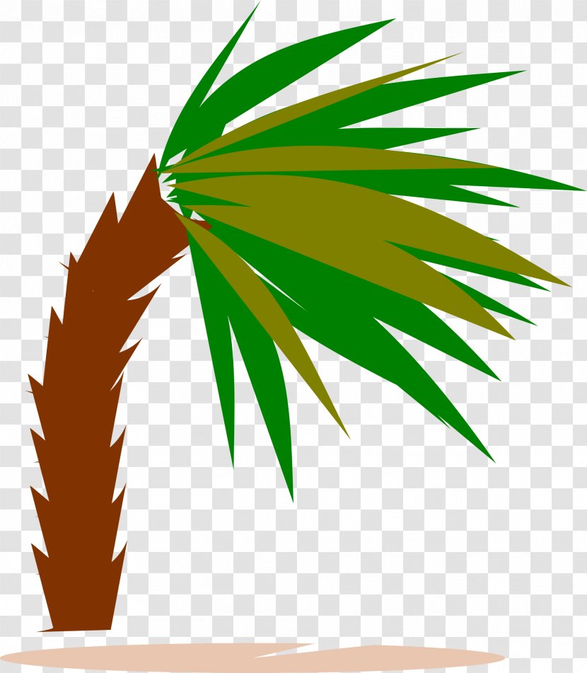 Arecaceae Tree Wind Clip Art - Palm Transparent PNG
